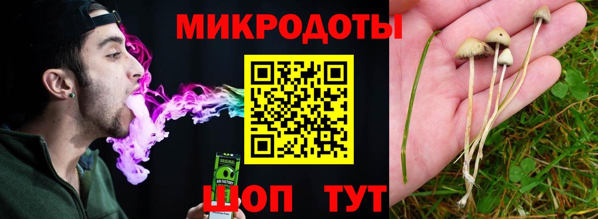 Губкинский  Псилоцибиновые грибы MAGIC MUSHROOMS  Вход с VPN 