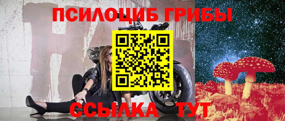 Галлюциногенные грибы GOLDEN TEACHER Губкинский